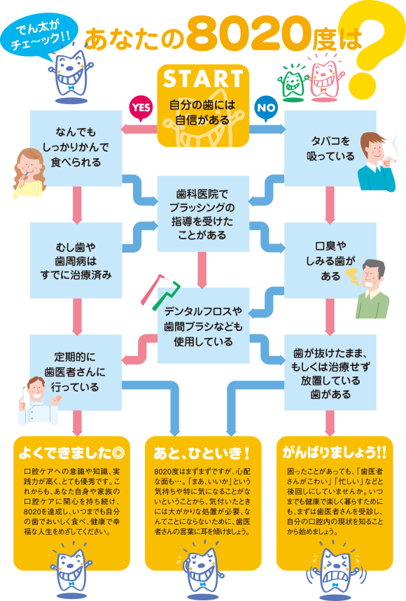 あなたの8020度は？